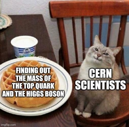 cern cats waffle
