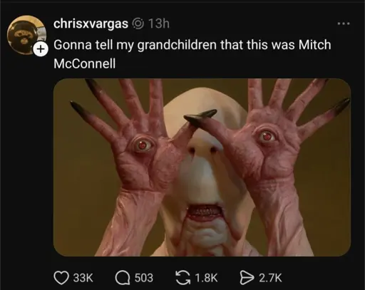 🐢 