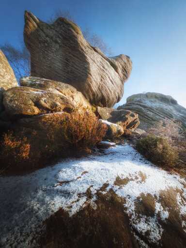 A low-angle vertical shot captures a towering, weathered gritstone outcrop at Brimham Rocks under a bright, clear blue sky. In the foreground, a large, rounded boulder is partially covered with a dusting of white frost, revealing patches of dark, mossy stone underneath. To the left, a dense, reddish-brown heather bush huddles against the base of the rocks. The main rock formation rises steeply, its surface etched with horizontal layers and deep fissures from centuries of erosion. To the right, another large, rounded rock stack is visible, its top also dusted with frost. Bare, spindly branches of silver birch trees peek out from behind the central formation. The scene is bathed in the warm, low light of a winter sun, casting soft shadows and highlighting the rugged, ancient textures of the landscape.