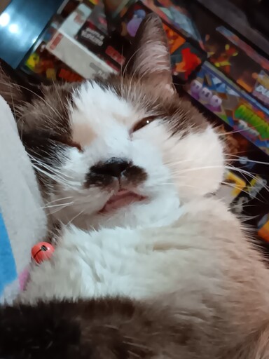 Mouth breather